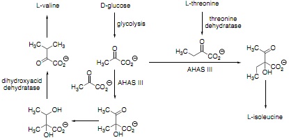 2424_Chemical synthesis4.jpg